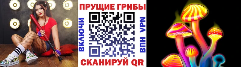 Псилоцибиновые грибы Magic Shrooms  Котлас 