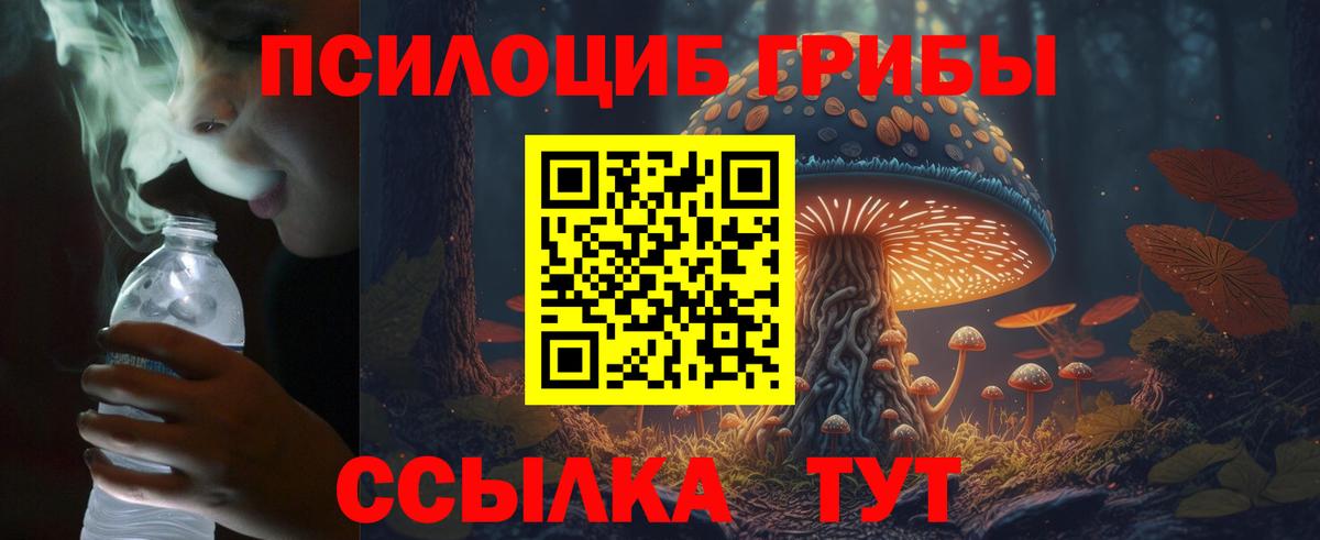 ГАШ  Котлас  МЕТ  Меф МЯУ МЯУ   Бошки Шишки  КОКАИН  Экстази  Вход с VPN  ГАШ  Сколько стоит  А ПВП СК   Конопля 