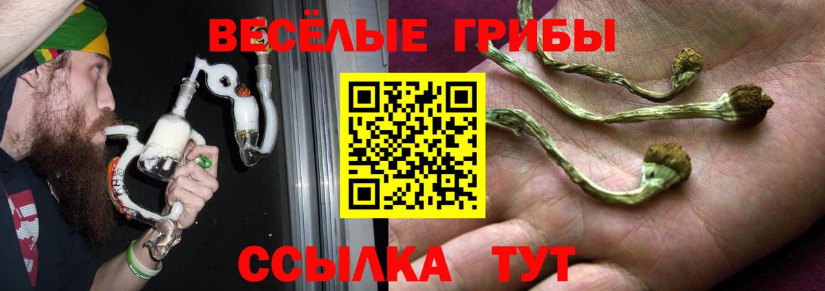 Галлюциногенные грибы Magic Shrooms Котлас