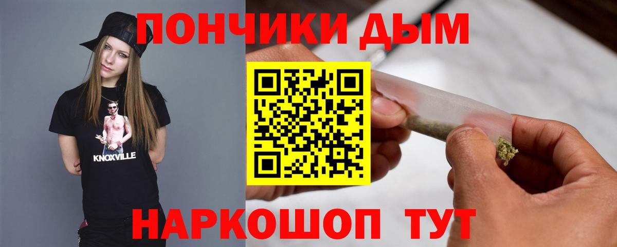 Конопля семена  Конопля семена  Вход с VPN  Котлас  Канабис Bruce Banner 